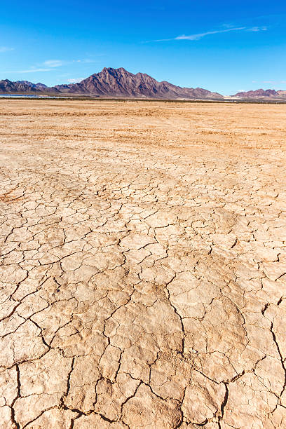 istock Dry lake bed in desert 486600167