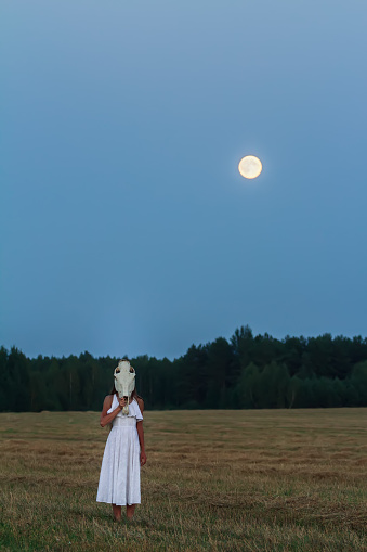 Woman wearing white dress con caballo cráneo en la cabeza photo
