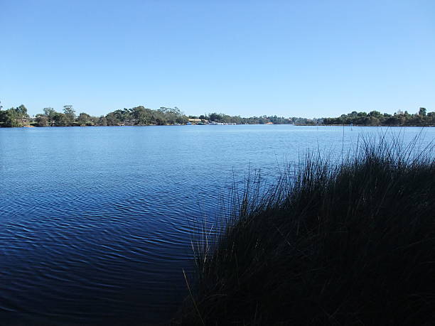 istock Yanchep National park, Western australia 486600940