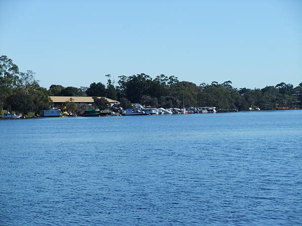 istock Yanchep National park, Western australia 486601216