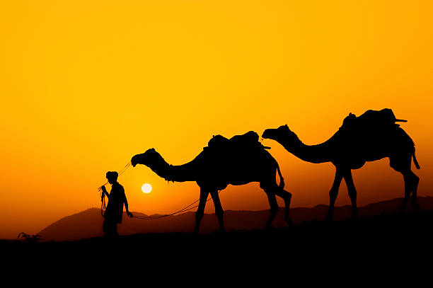 istock Silhouette of the Camel Trader. 486603518