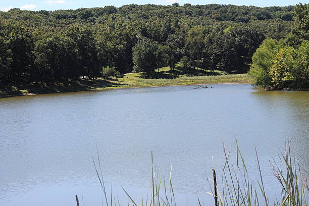 istock View of a lake 486604390