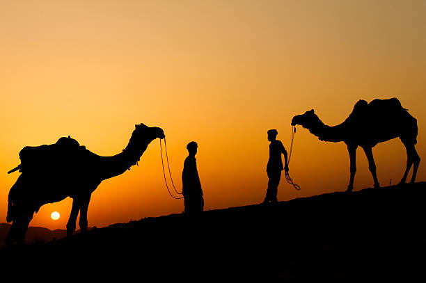 Silhouette of the Camel Trader. stock photo
