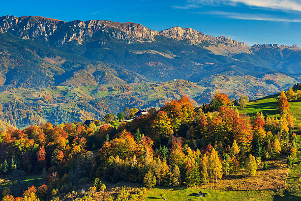 champs de verdure et coloré forêt d'automne, magura village, transylvanie, roumanie - travel carpathian mountain range european alps mountain photos et images de collection