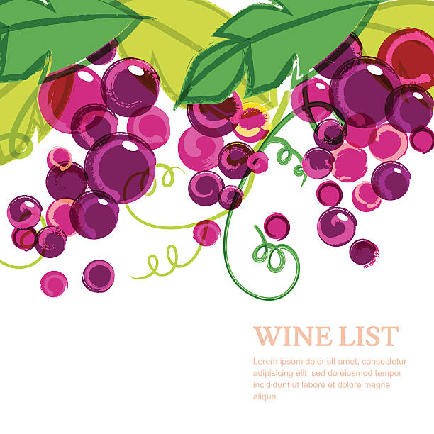 ilustraciones, imágenes clip art, dibujos animados e iconos de stock de rosa uva vine con hojas verdes. abstract vector fondo de acuarela - vine label grape wine