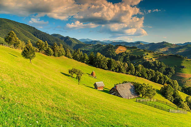 magnifique paysage rural près de bran, transylvanie, roumanie, europe - romanian hay photos et images de collection