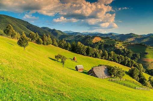 Summer alpine landscape with green fields and valleys,Bran,Transylvania,Romania,Europe
