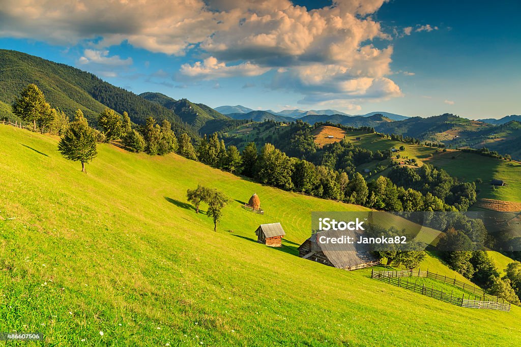 Stunning rural landscape near Bran,Transylvania,Romania,Europe Summer alpine landscape with green fields and valleys,Bran,Transylvania,Romania,Europe Landscape - Scenery Stock Photo