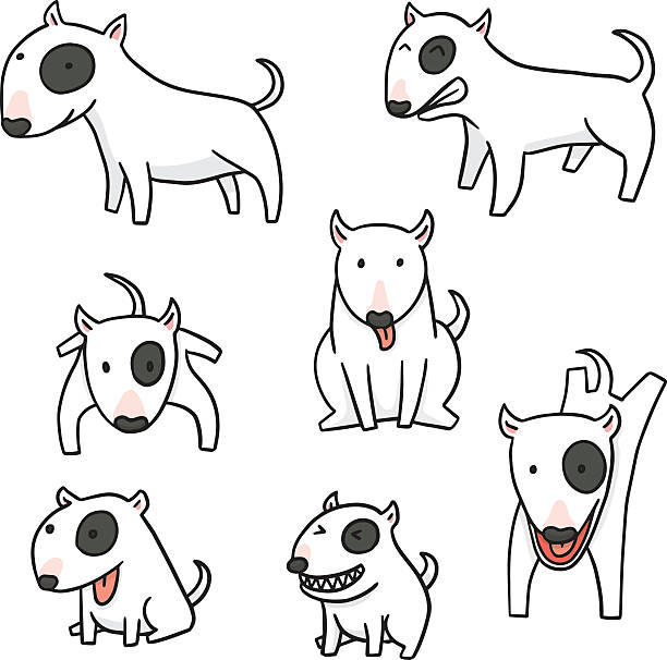 vector set of dog, bull terrier vector set of dog, bull terrier bull terrier stock illustrations