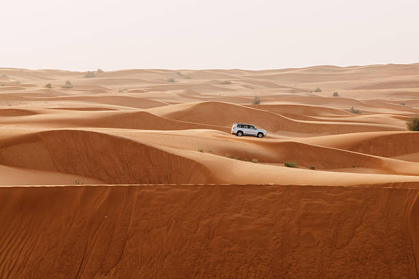 arabian desert sand dunes of the arabian desert, close to dubai in the united arab emirates. soft vintage editing. picture taken on a desert safari. desert safari stock pictures, royalty-free photos & images