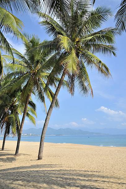 istock Nha Trang beach, Khanh Hoa, Vietnam 486611758