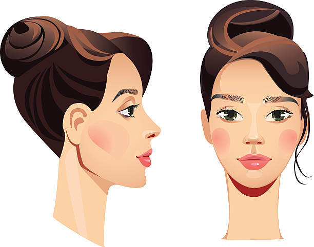얼굴 여자아이 일자형 및 프로필 - human lips 이미지 stock illustrations