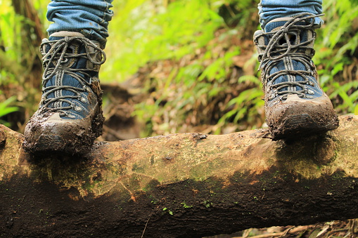 Detail of muddy boots in the rainforest, Panama.