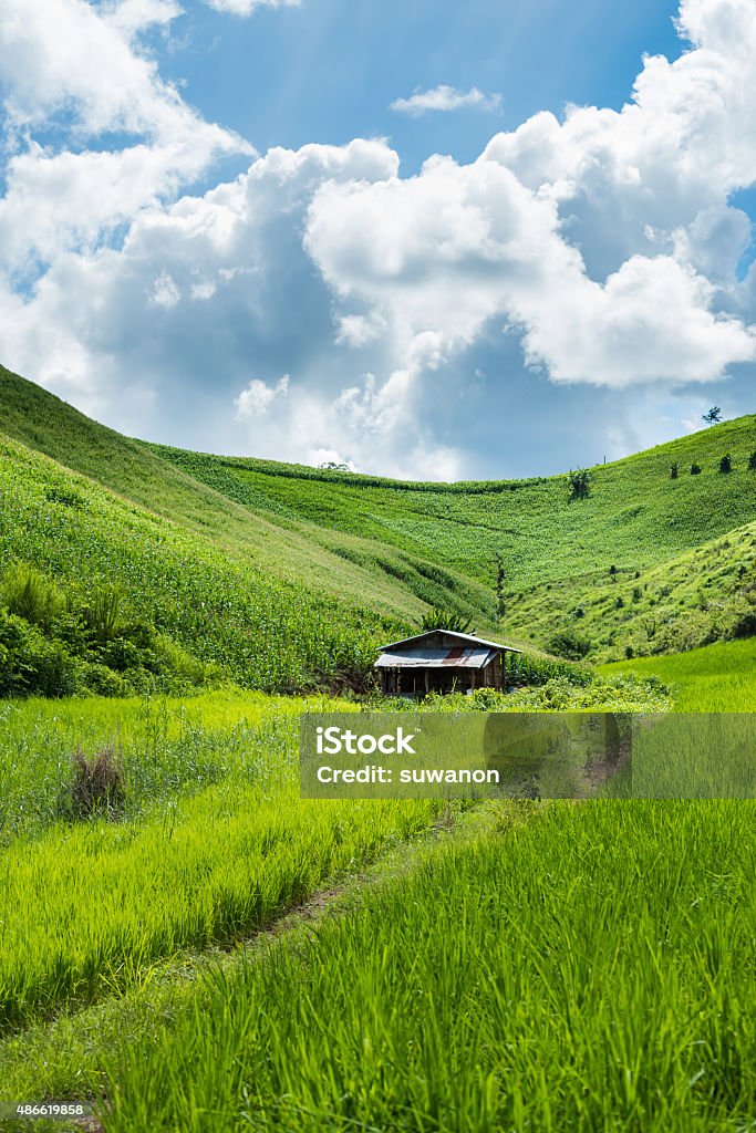 Green mountain with cloud and blue sky. Green mountain with cloud and blue sky.Thailand. 2015 Stock Photo