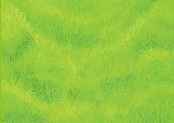 草背景 - 草原点のイラスト素材／クリップアート素材／マンガ素材／アイコン素材