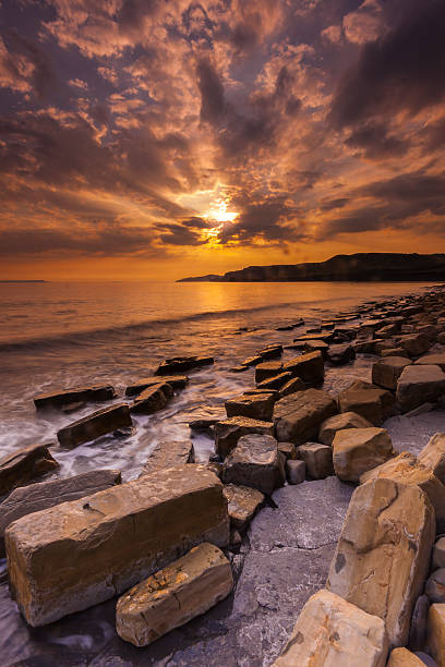 istock Rocky ledges on Dorset's coastline 486621125