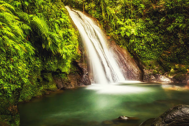 Waterfalls In Caribbean Rainforest stock photo