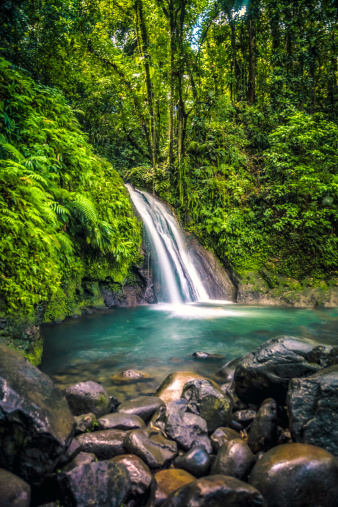Waterfalls In Caribbean Rainforest On Martinique