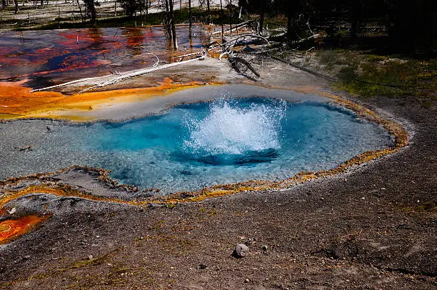 Firehole Spring bubbling at Yellowstone National Park