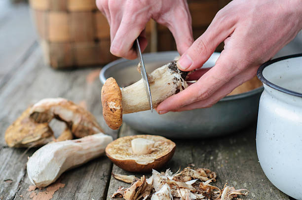 istock Cleaning process of edible forest mushrooms 486621826