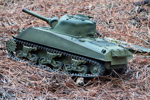 a horizontal view of a radiocontrol tank in a forest