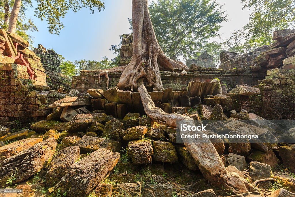 Ta Phrom Castle, Angkor Thom, Cambodia Ta Phrom, near Angkor Wat, is a temple complex in Cambodia that was built in the 13C but has since been reclaimed by jungle. The decision has been made to leave the temple uncleared and the site has been used to film scenes from several movies including Tomb Raider. Adventure Stock Photo