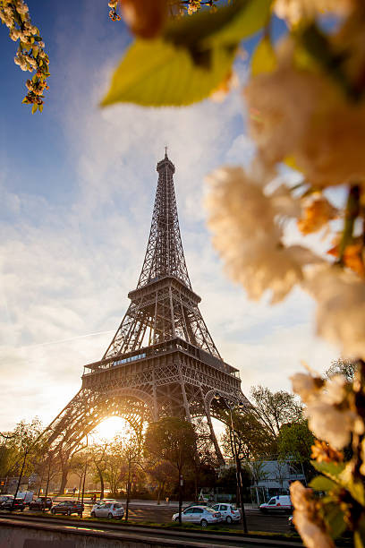 istock Eiffel Tower during spring time in Paris, france 486624579