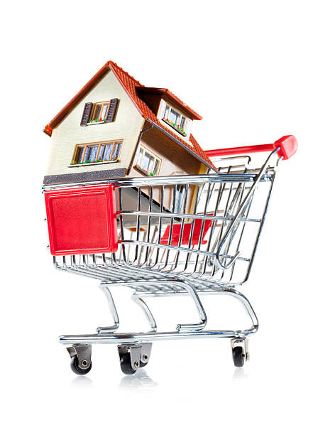 istock shopping cart and house 486625128