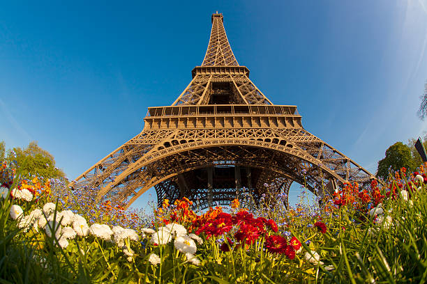 istock Eiffel Tower during spring time in Paris, france 486625491