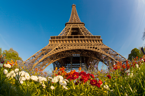 Spring morning with Eiffel Tower in Paris, France
