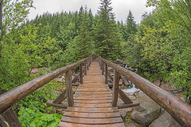 istock View of bridge - fisheye distortion 486625544