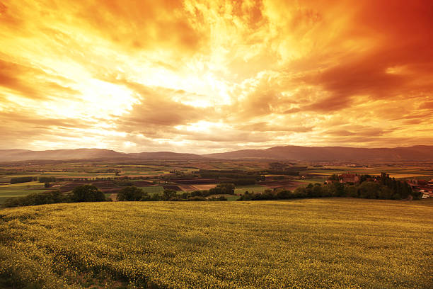 Green meadow under sunset sky with clouds stock photo