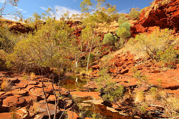 istock Karijini National Park, Australia 486627624