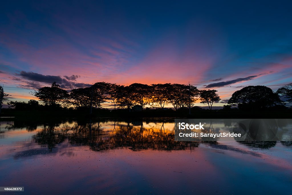 twilight Silhouette tree reflection Silhouette tree reflection twilight time 2015 Stock Photo