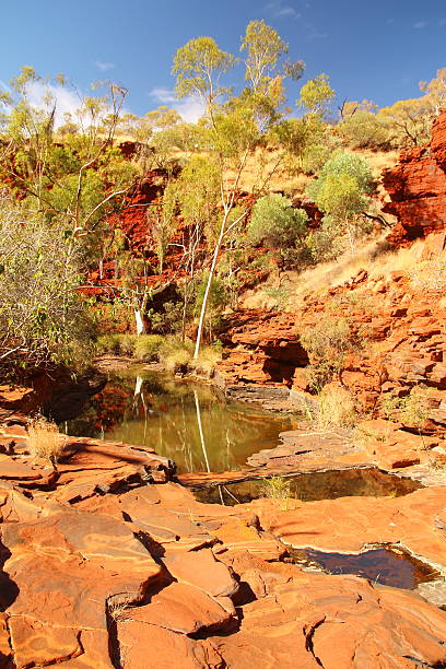 istock Karijini National Park, Australia 486628620
