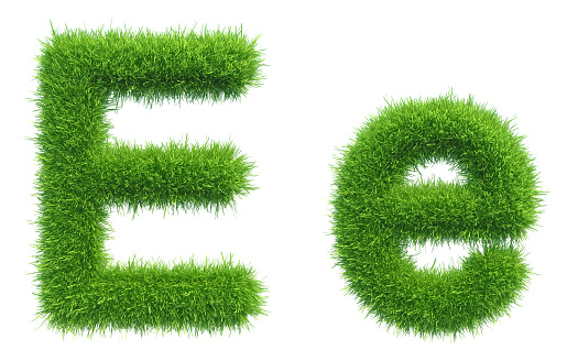 Letter E of green fresh grass isolated on a white background