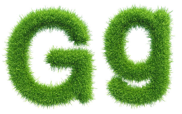 istock Letter G of green fresh grass isolated on a white 486629126