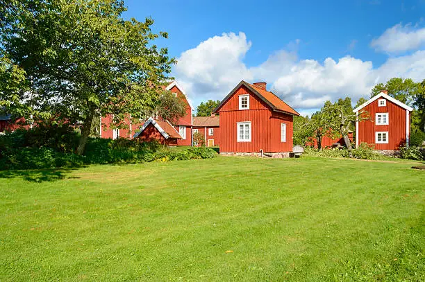 Old farmhouses in the outskirts of a small village in rural Smaland, Sweden. The apple trees are pruned and the grass is green. Copy space.