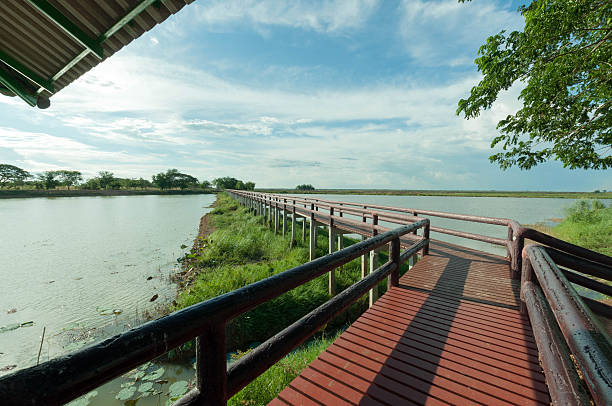 배다리 blue sky landscpae - boardwalk pontoon bridge landscape sky 뉴스 사진 이미지