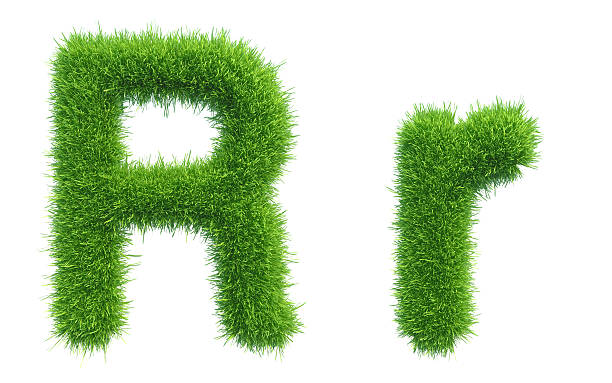 istock Letter R of green fresh grass isolated on a white 486631366