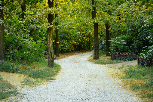 Walking path along in Park
