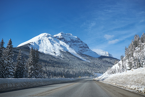 empty road, with snowy mountains and trees at Banff Canada