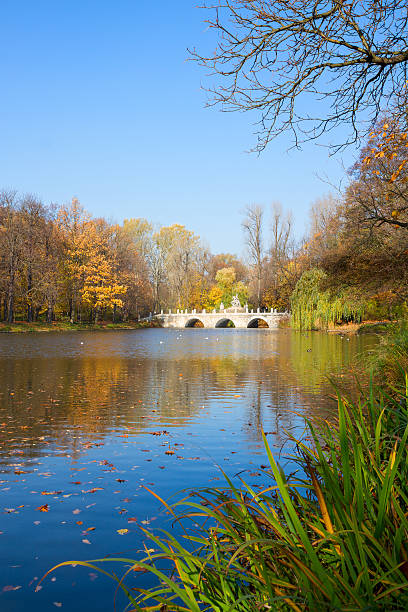 istock autumn park Lazienki, Warsaw 486635388