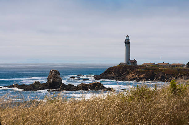 istock Pigeon Point Lighthouse on California coast 486636746