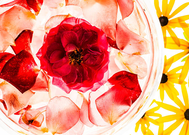 istock Rose petals in a bowl of water 486637902