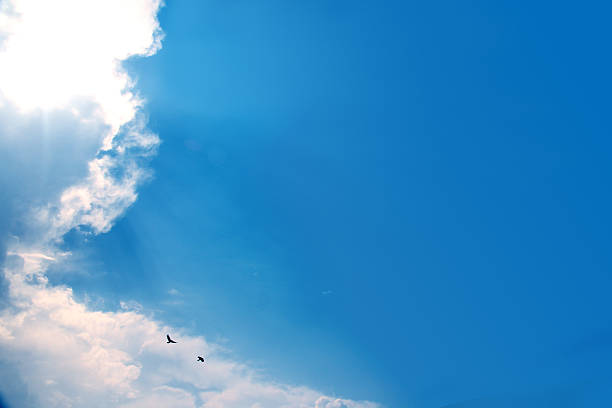 istock Sun shining and birds flying over a heavenly blue sky 486639762