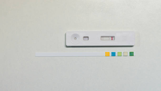 istock strips for measurement in laboratory. 486639784