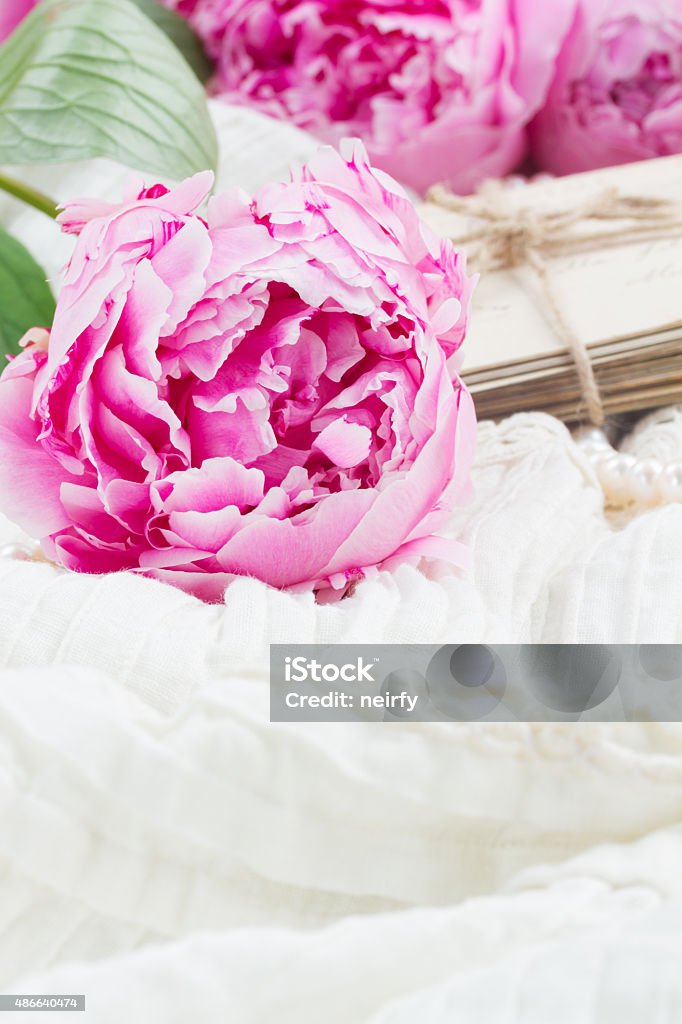 pink a  peony on lace fresh pink  peonies on white lace background 2015 Stock Photo