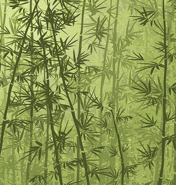 Bamboo Forest vector art illustration