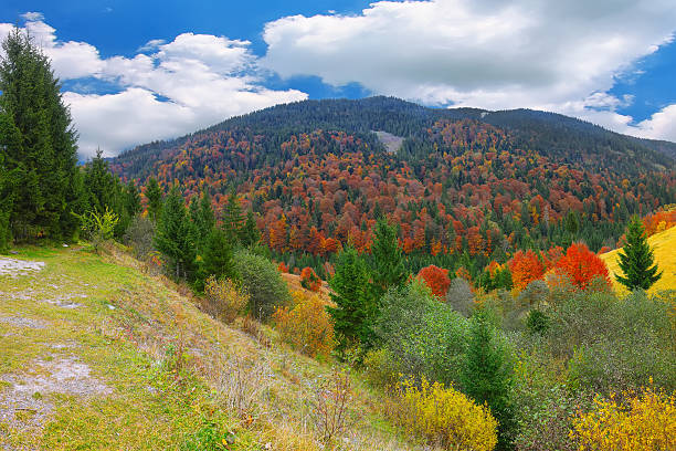 istock bright sunny autumn in the mountains 486641692